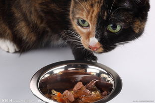 家禽家畜圖集 從飼養認知到資源下載