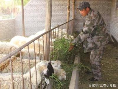 關(guān)于2019年1月1日起全面禁止農(nóng)民養(yǎng)家禽家畜的真相